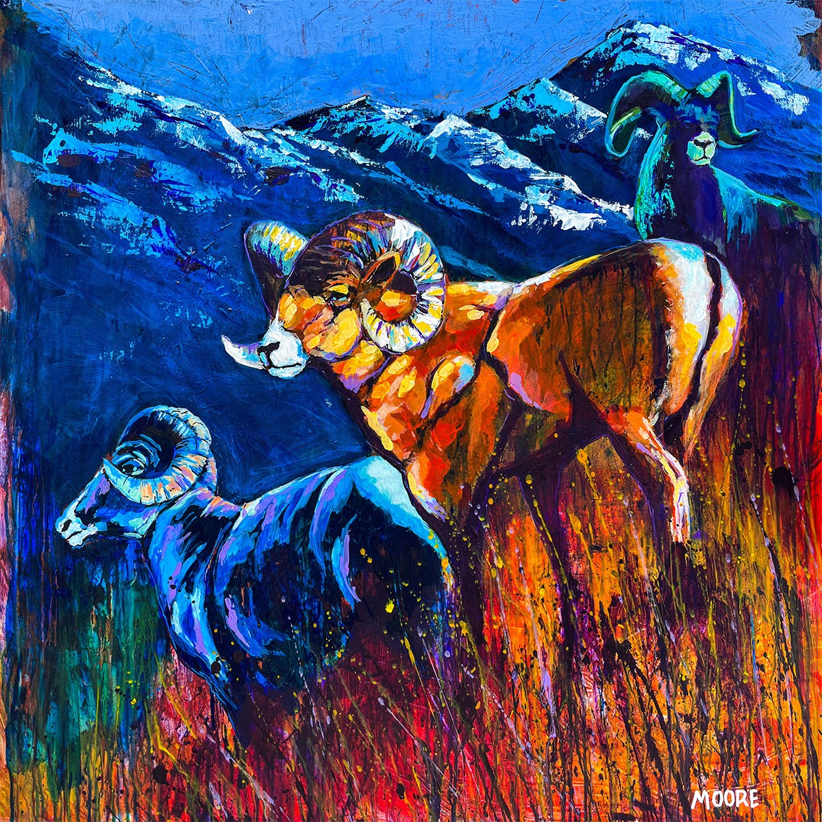 Colorado Bighorn